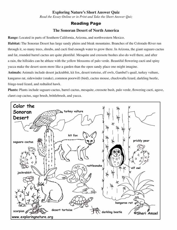 Desert of N. America (Sonoran) - Read and React Quiz