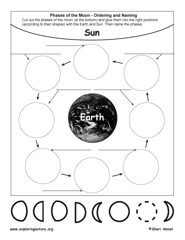 Phases of the Moon - Cut, Paste, Name