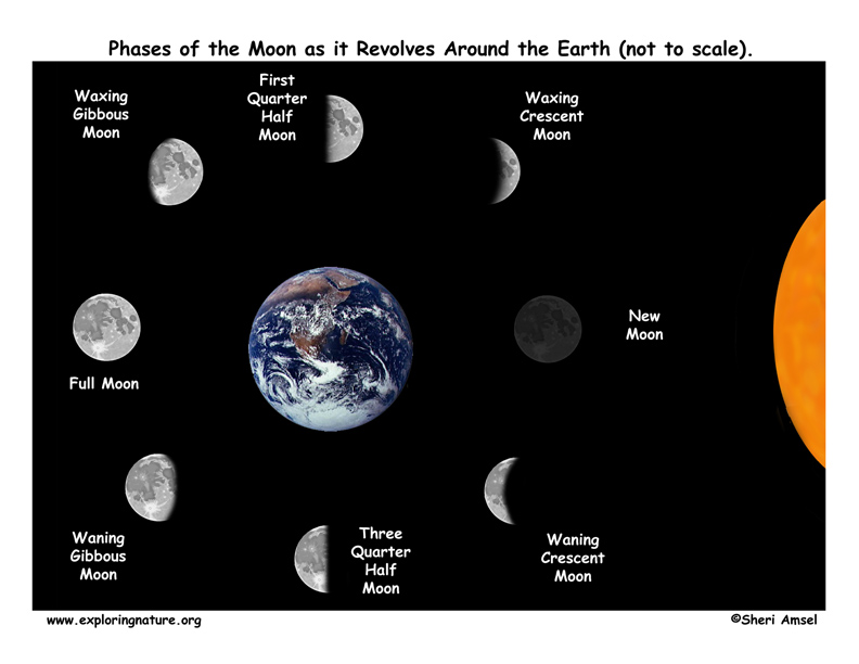 Moon Phases  Learn All About the Moon