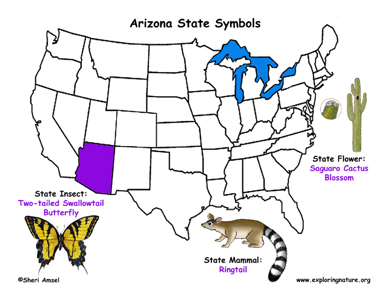 State symbols