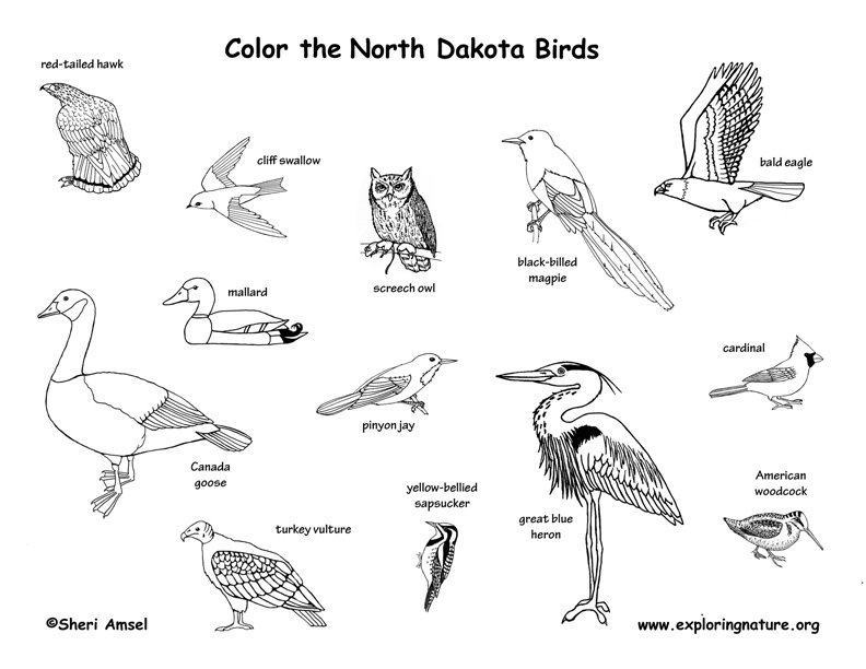 North Dakota Habitats, Mammals, Birds, Amphibians, Reptiles