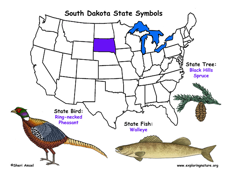 South Dakota Habitats, Mammals, Birds, Amphibians, Reptiles