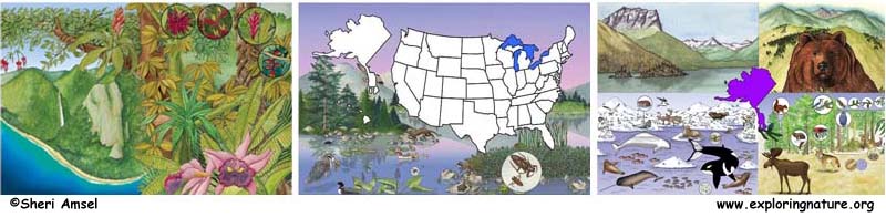 Animals and Habitats of Your State