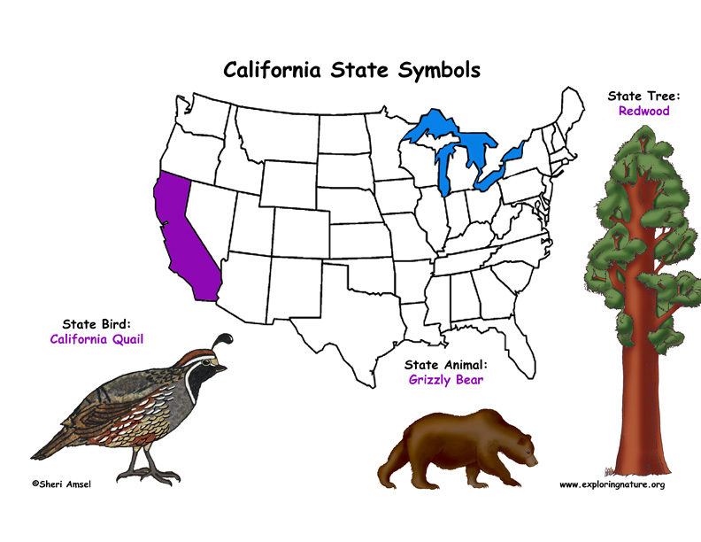 California Habitats, Mammals, Birds, Amphibians, Reptiles