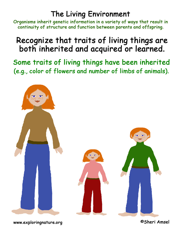 living-environment-inherited-traits