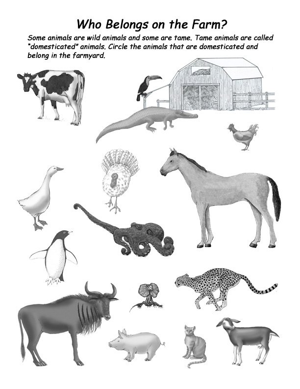 Which Animal Belongs on a Farm? -- Exploring Nature Educational Resource