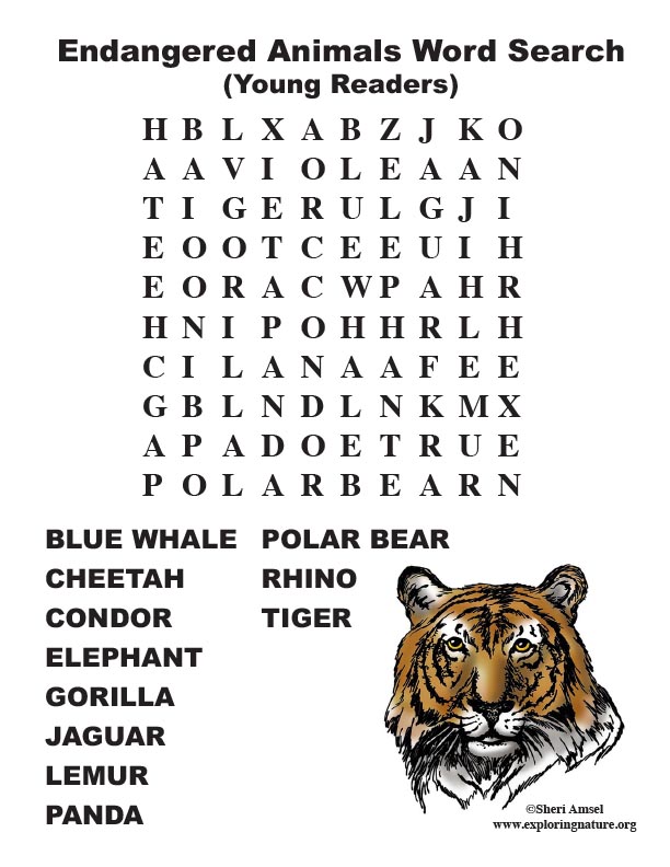 Endangered Animal Word Search Primary Grades 