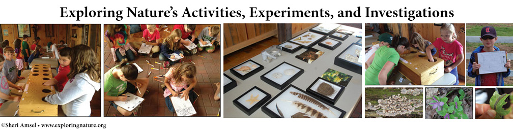 Activities, Experiments, and Investigations