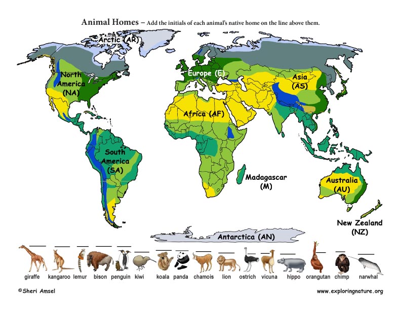 Animal Native Home Matching