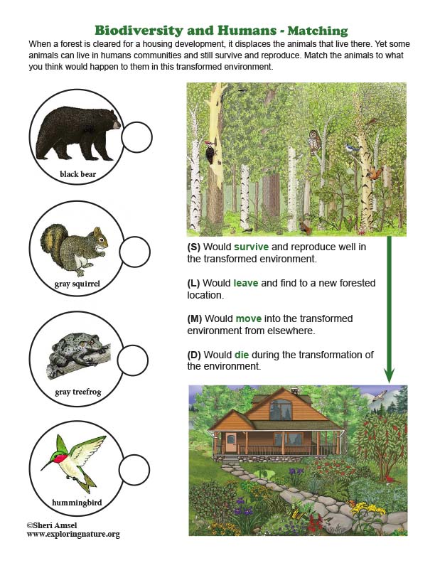 Biodiversity and Humans - Matching