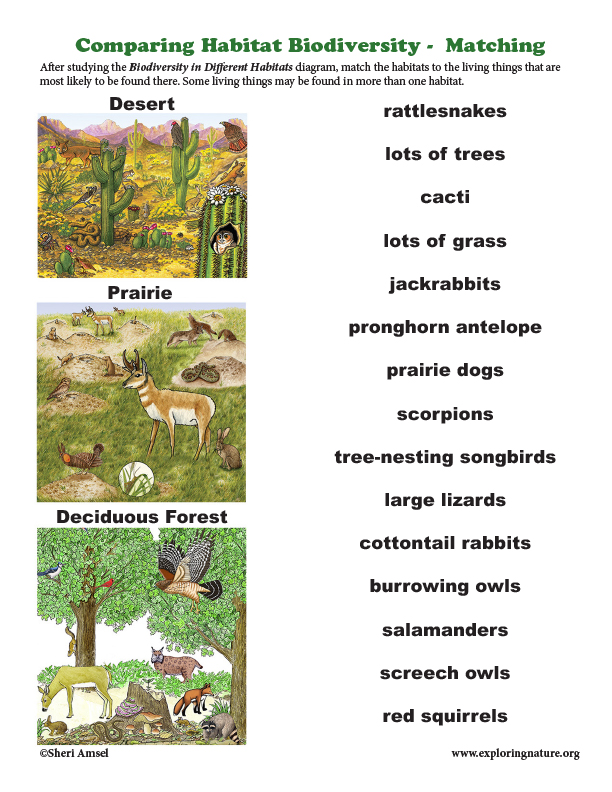 Comparing Habitat Biodiversity - Matching