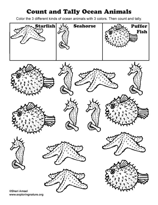 Count and Tally - Ocean Animals