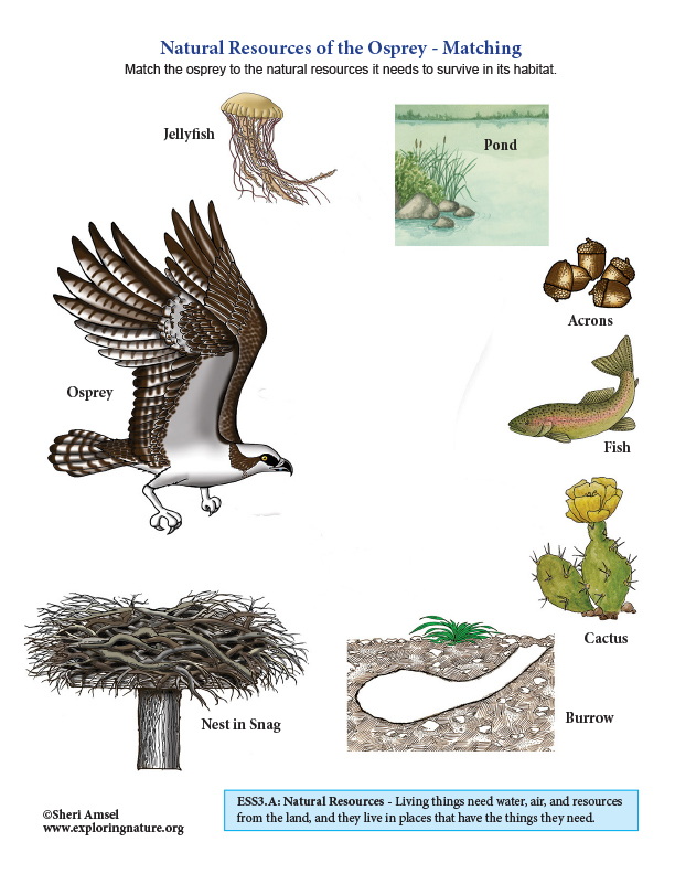 Natural Resources of the Osprey - Matching