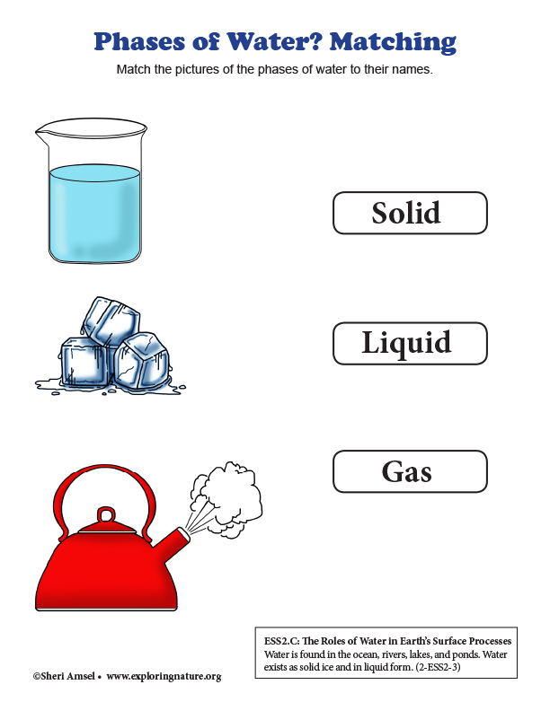 Phases of Water - Matching (Grade 2)