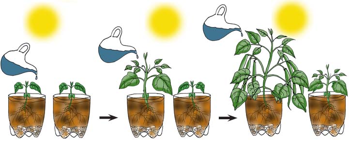 Experiment Design Independent Dependent And Controlled Variables