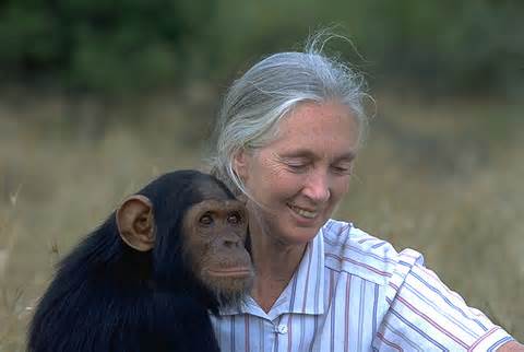 Dr. Jane Goodall