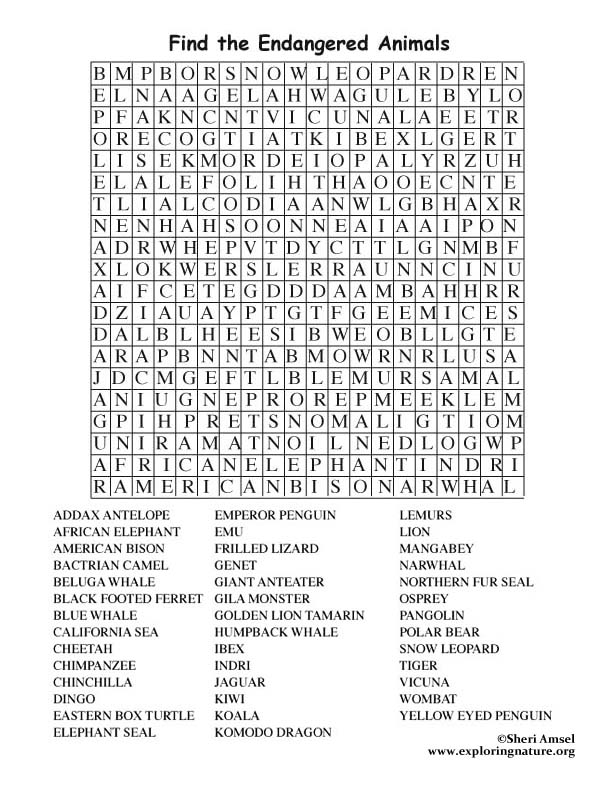 Endangered Animal Word Search Adults 