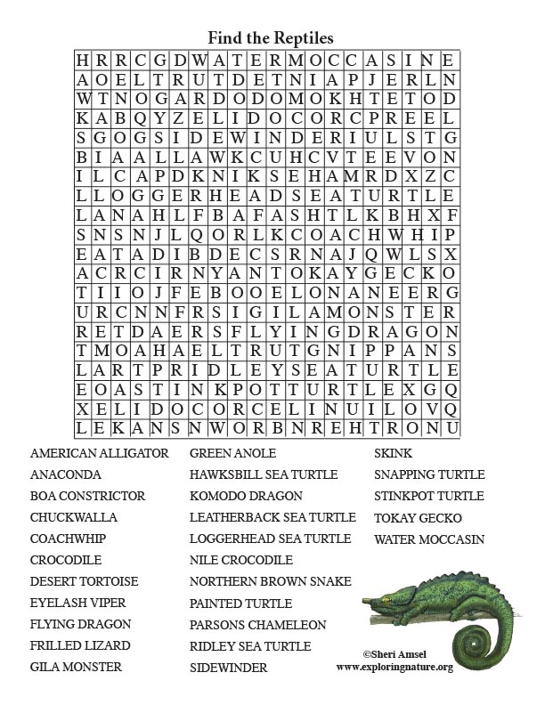 Reptile Word Search Adults 