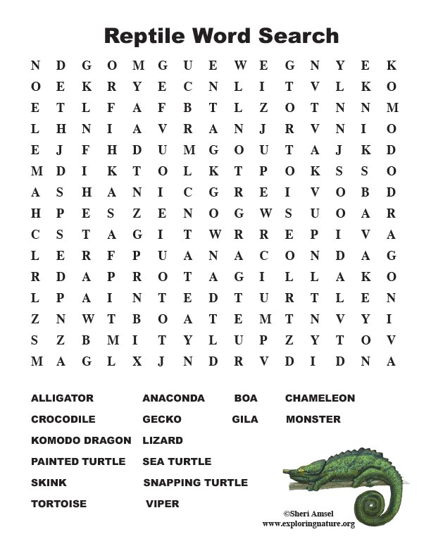 reptile-word-search-middle