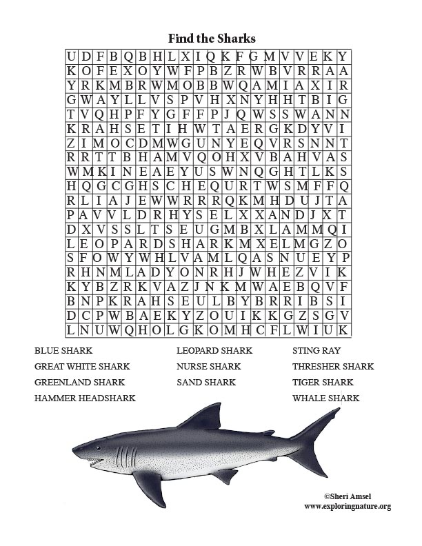 Shark Word Search Adults 