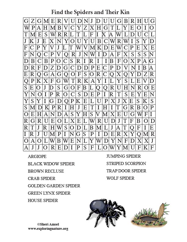 Spider Word Search Printable Ocean Words Word Search Printables - Gambaran