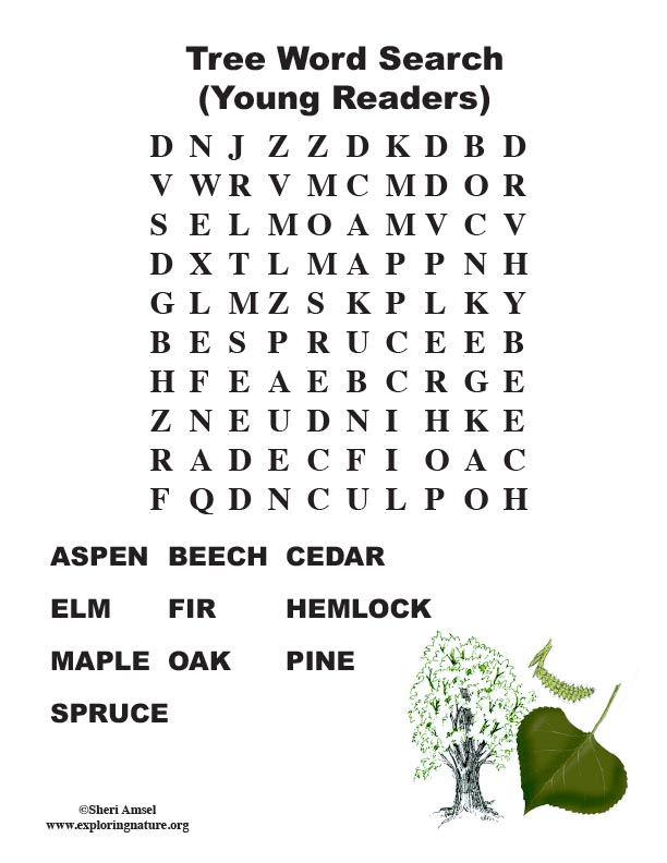 Tree Word Search Primary 