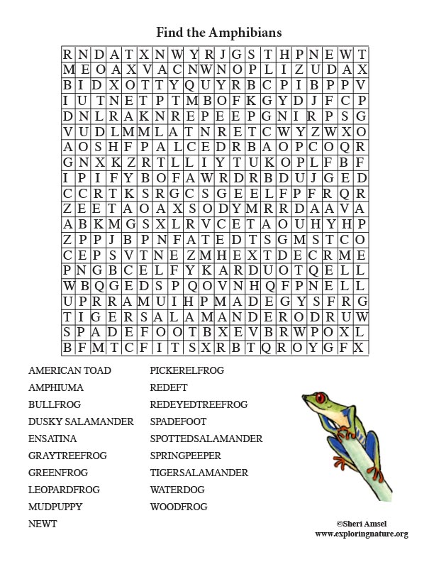 Amphibian Word Search (Adult)