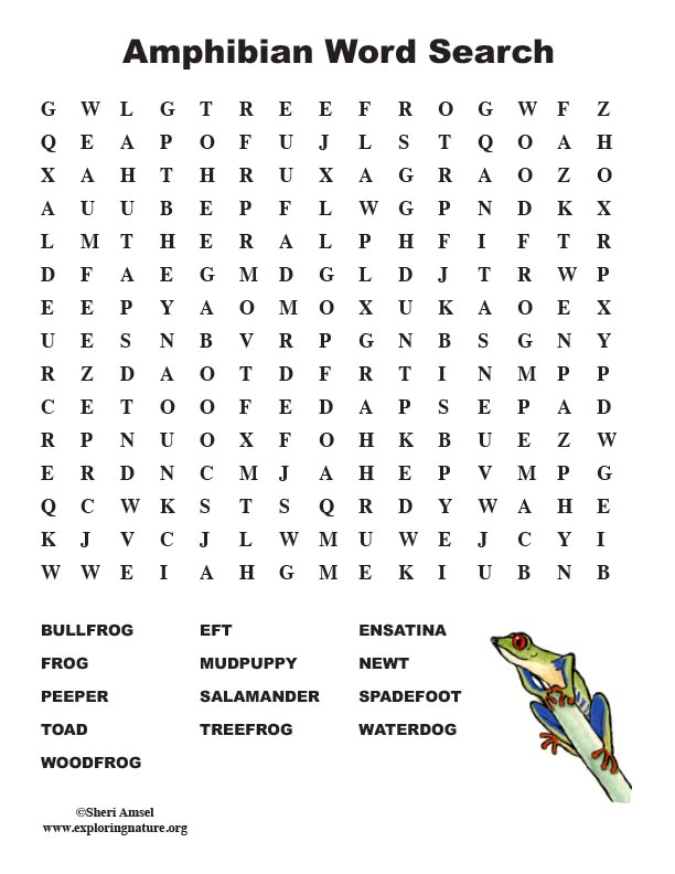 Amphibian Word Search (Middle)