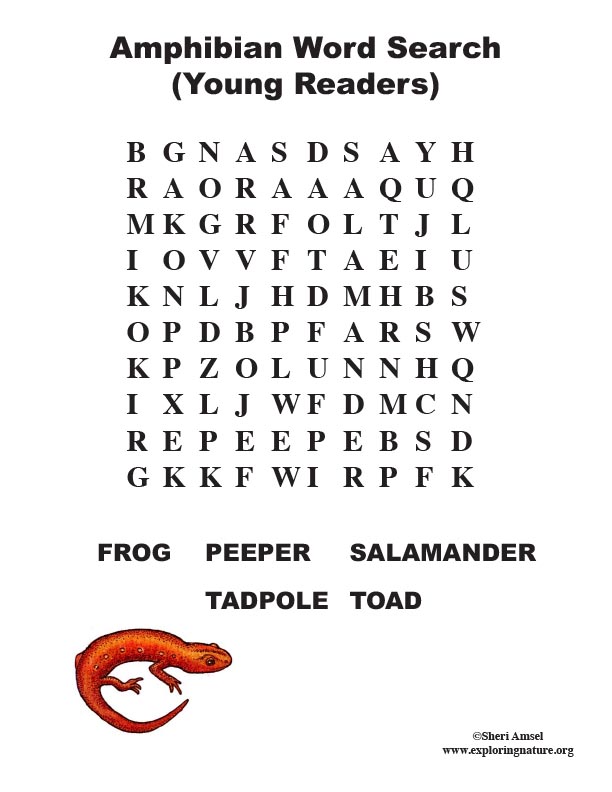 Amphibian Word Search Primary 