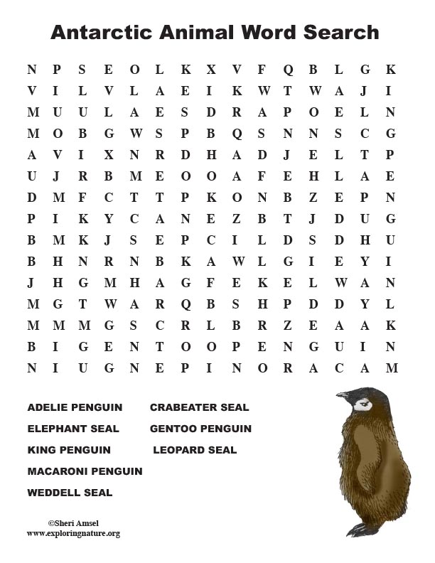 antarctic-animal-word-search-middle