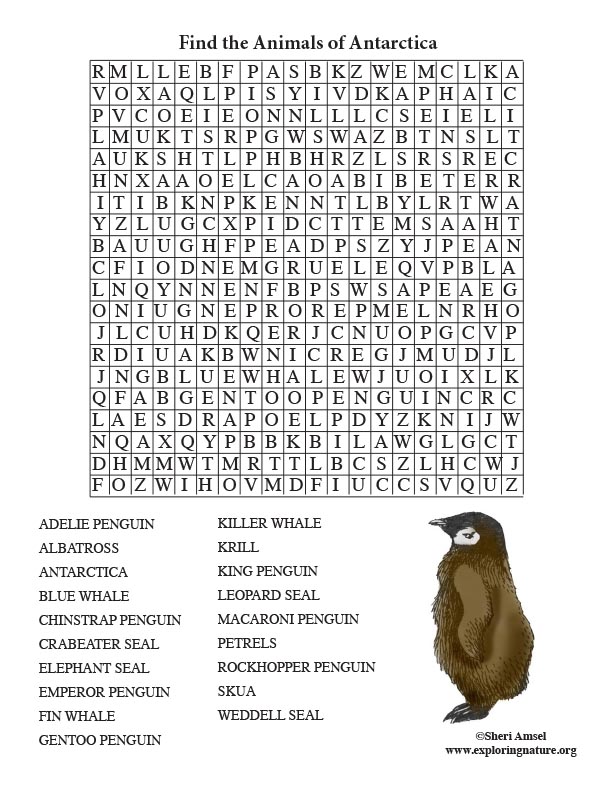 Antarctic Animal Word Search Adult 