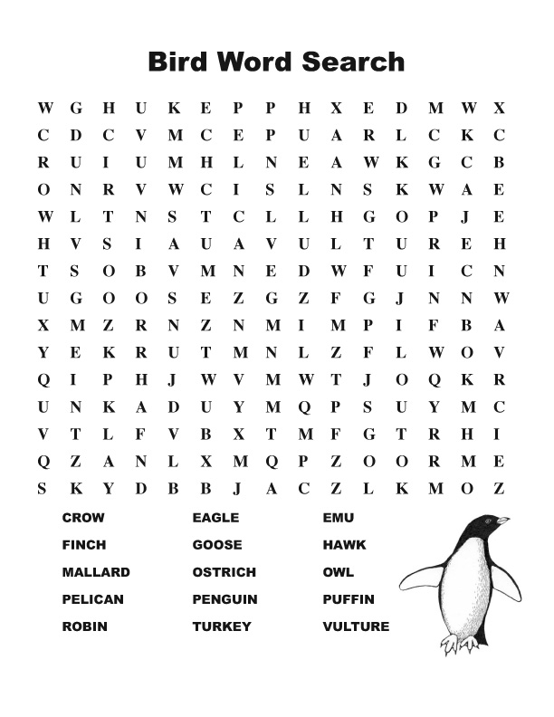 Bird Word Search Middle 