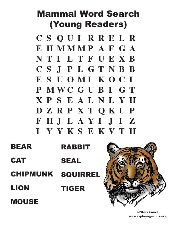 Australian Mammals Word Search Puzzle