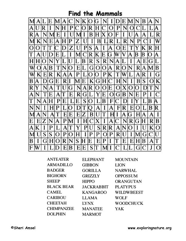 Mammal Word Search Adults 