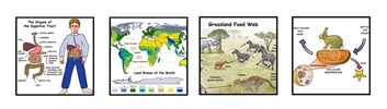 Science Mini-Posters and Diagrams