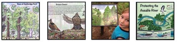 Illustrations for Interpretive Signage, Museum and Nature Center Exhibits