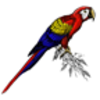 Macaw (Scarlet)