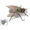 Adaptation and Natural Selection