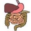 Anatomy (Human Body) Coloring