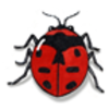 Ladybug Beetle (Ladybug)