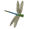 Dragonfly (Green Darner)