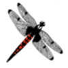 Dragonfly (Eliza Skimmer)
