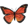 Butterfly (Monarch)
