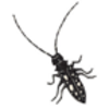 Beetle (Asian Long-horned)