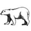 Bear (Polar)