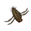 Backswimmer Labeling Page