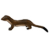Weasel (Long-tailed)