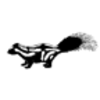 Skunk (Western Spotted) 