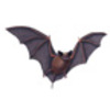 Bat (Mexican Free-tailed or Brazilian Free-tailed)