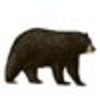 All Animals (Wildlife)